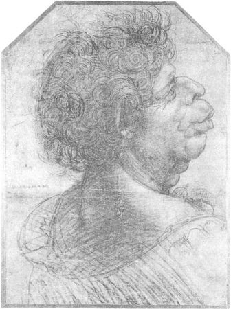 Мирослав Адамчик - 100 пророчеств Леонардо да Винчи