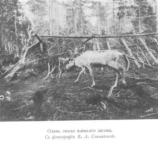 Сергей Дурылин - За полуночным солнцем