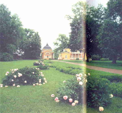 Марианна Успенская - Пионы