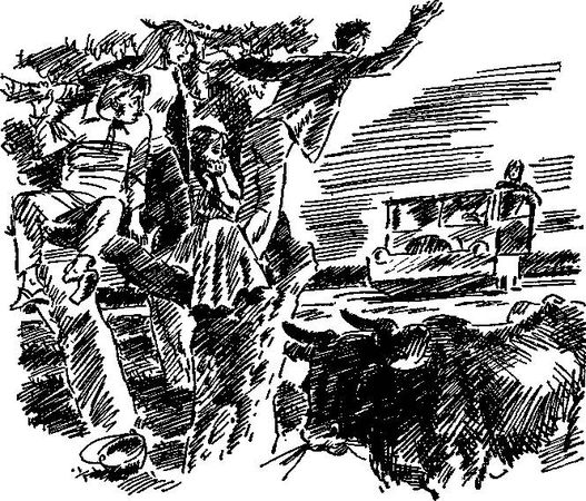 Збигнев Ненацкий - Новые приключения самоходика