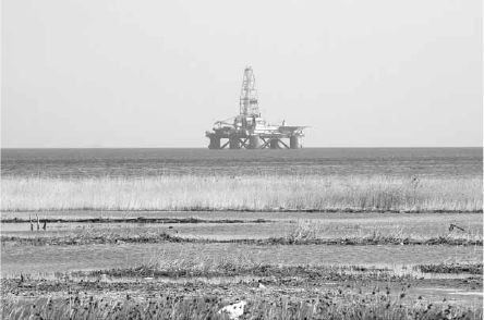 Викентий Преображенский - Удивительная океанология