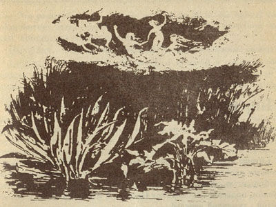 Камиль Фламмарион - Люмен