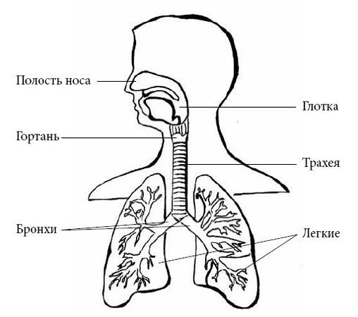Андрей Яловчук - Если ваш ребенок заболел. Что должны знать и уметь родители