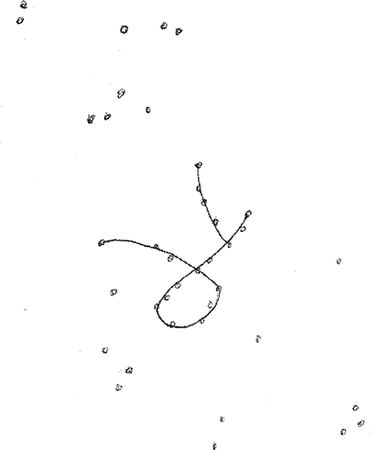 Владимир Жикаренцев - Русь открывает себя