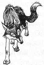 Кэтрин Кейв - Вильям и волки