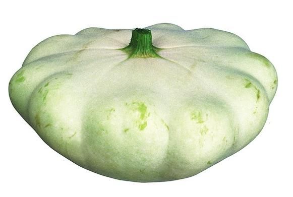 Дина Бакулина - Зачем живут патиссоны?