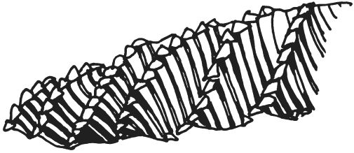 Вера Преображенская - Поделки из соломки