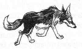 Кэтрин Кейв - Вильям и волки