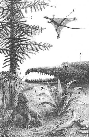 Андрей Журавлёв - До и после динозавров