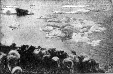 СЕРГЕЙ ОБРУЧЕВ - НА САМОЛЕТЕ В ВОСТОЧНОЙ АРКТИКЕ