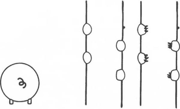 Вилейанур Рамачандран - Мозг рассказывает. Что делает нас людьми