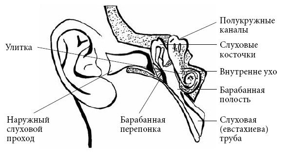 Андрей Яловчук - Если ваш ребенок заболел. Что должны знать и уметь родители