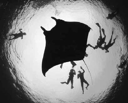 Викентий Преображенский - Удивительная океанология