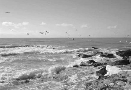 Викентий Преображенский - Удивительная океанология