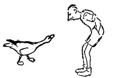 Конрад Лоренц - Кольцо царя Соломона