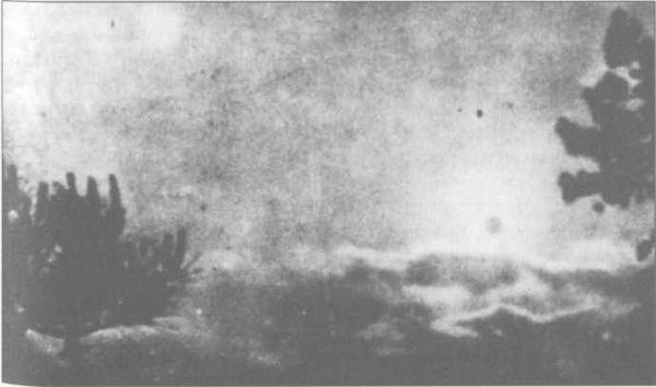 Михаил Герштейн, Вадим Деружинский - Нежить или Таинственные существа