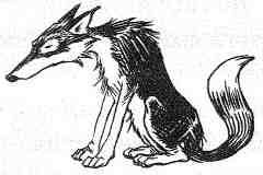 Кэтрин Кейв - Вильям и волки