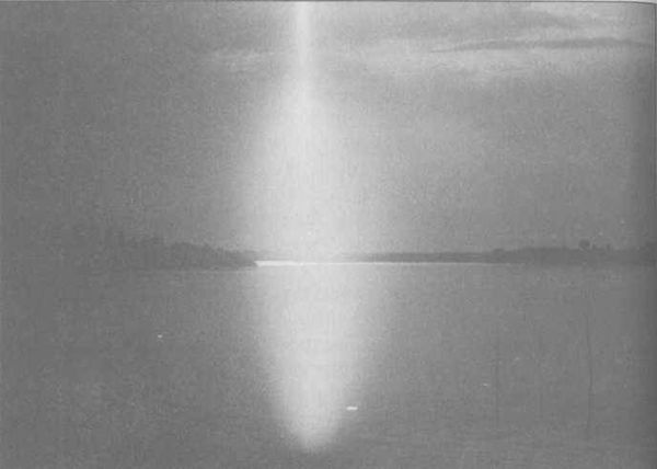 Михаил Герштейн, Вадим Деружинский - Нежить или Таинственные существа