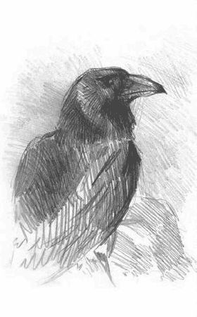 Макс Саблин - Чалын - дочь снежных вершин. Книга 1. Южные ветры