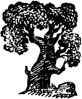 Абдурахман Абсалямов - Огонь неугасимый