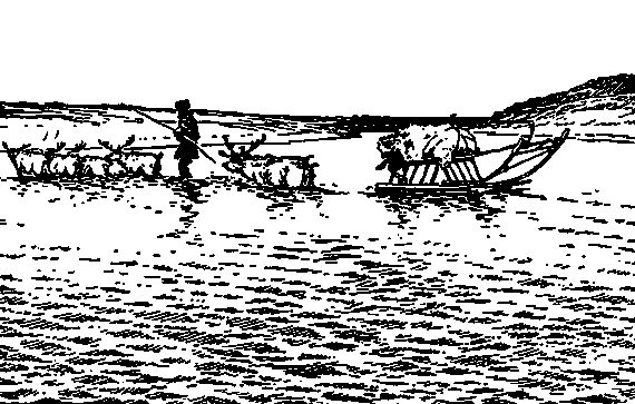 Борис Житков - Тундра и ее богатства