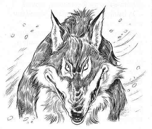 Кэтрин Кейв - Вильям и волки