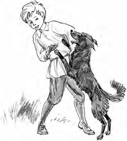 Николай Гарин-Михайловский - Детство Тёмы