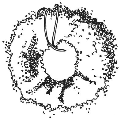 Вера Преображенская - Поделки из соломки