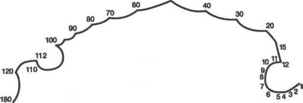 Вилейанур Рамачандран - Мозг рассказывает. Что делает нас людьми