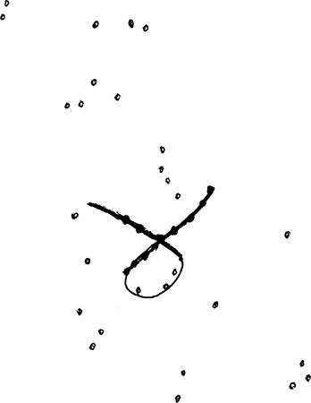 Владимир Жикаренцев - Русь открывает себя