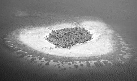 Викентий Преображенский - Удивительная океанология