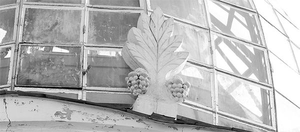 Ольга Зиновьева - Восьмое чудо света. ВСХВ-ВДНХ-ВВЦ