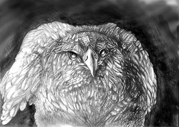 Галина Мишарина - Бури