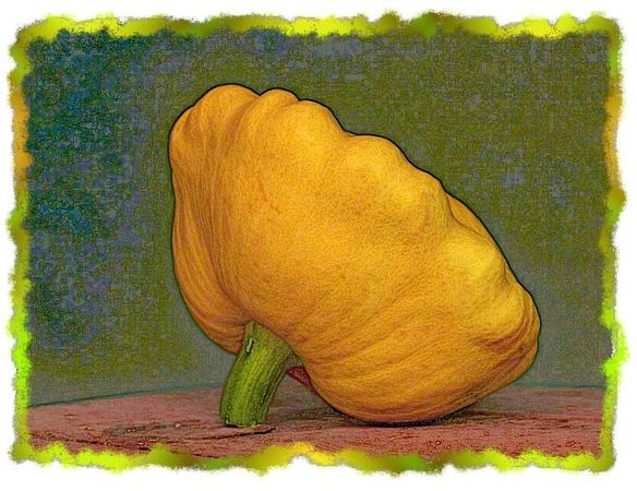 Дина Бакулина - Зачем живут патиссоны?