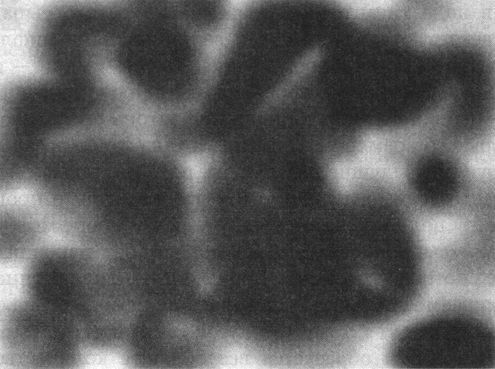 Брайан Грин - Скрытая реальность. Параллельные миры и глубинные законы космоса