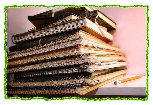 Дина Бакулина - Зачем живут патиссоны?