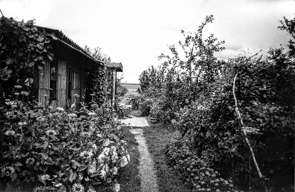 Ирина Малышко - Война маленького человека