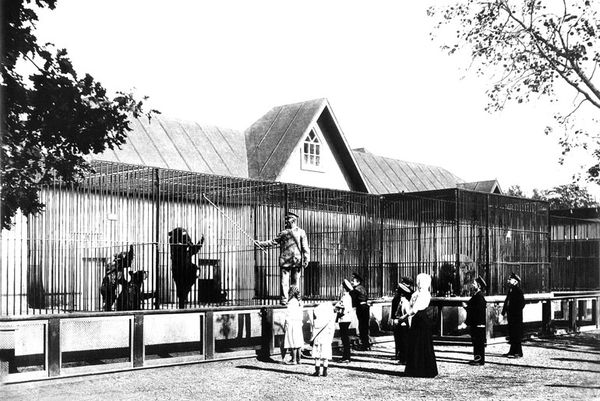 Валентин Привалов - Улицы Петроградской стороны. Дома и люди