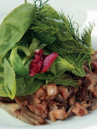 Коллектив авторов - Готовим грибы