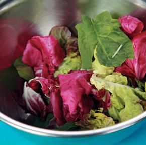 Коллектив авторов - Готовим грибы