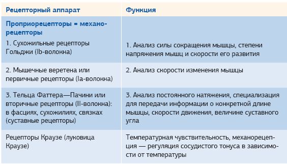 Дмитрий Киселев - Кинезиотейпинг в лечебной практике неврологии и ортопедии