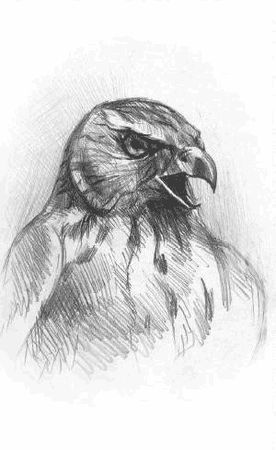 Макс Саблин - Чалын - дочь снежных вершин. Книга 1. Южные ветры