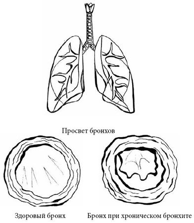 Андрей Яловчук - Если ваш ребенок заболел. Что должны знать и уметь родители