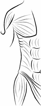 Вячеслав Корнилов - Свидетели сердца моего