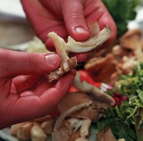 Коллектив авторов - Готовим грибы