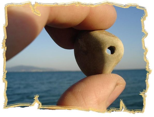 Дина Бакулина - Зачем живут патиссоны?