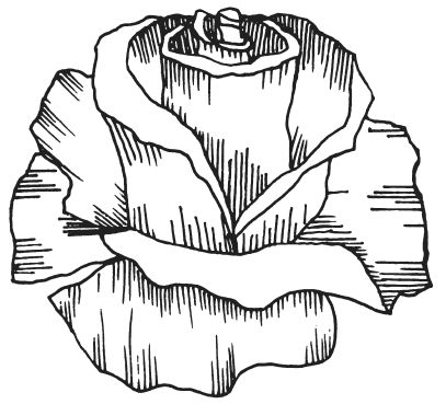 Вера Преображенская - Поделки из соломки