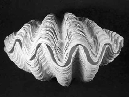 Викентий Преображенский - Удивительная океанология