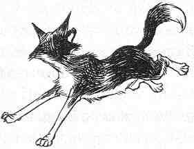 Кэтрин Кейв - Вильям и волки