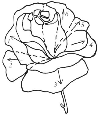 Вера Преображенская - Поделки из соломки